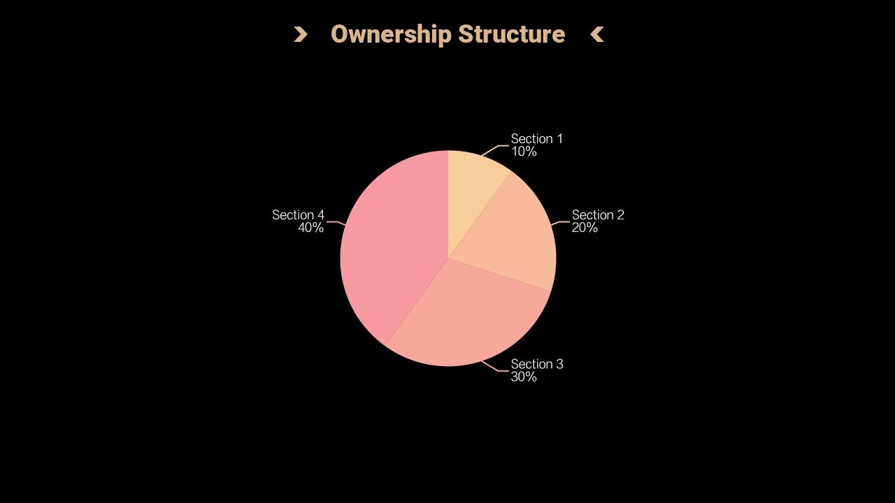 企业服务财务解决方案商业计划书PPT模板-Ownership Structure