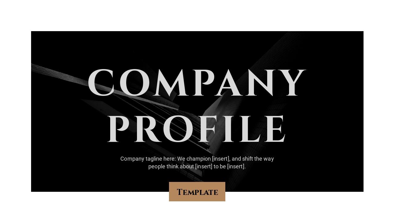 互联网创业项目天使轮商业计划书英文PPT模板-COMPANY PROFILE