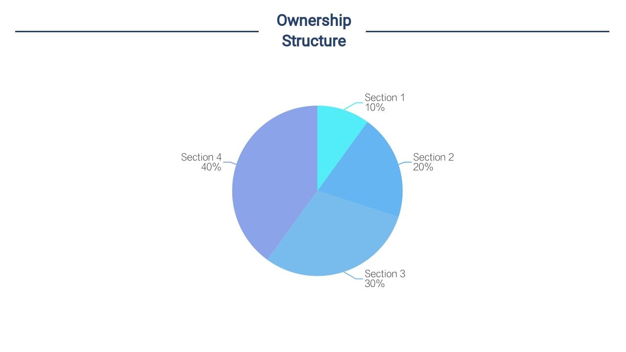蓝色海洋冲浪商业计划书英文PPT模板-Ownership Structure