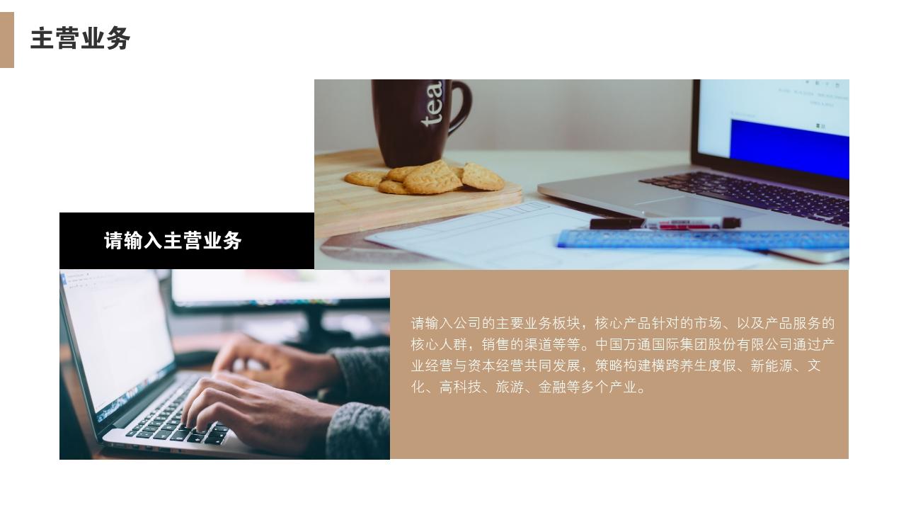 高端黑金大气通用公司简介PPT模版-主营业务