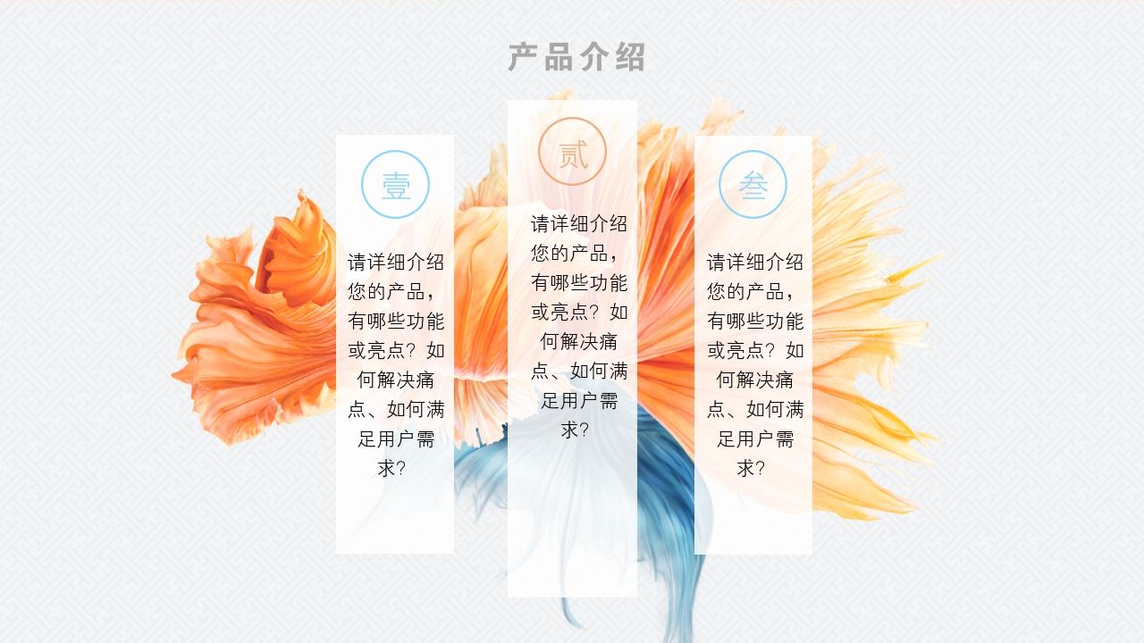 蓝黄中国风企业天使轮商业计划书模板-产品介绍