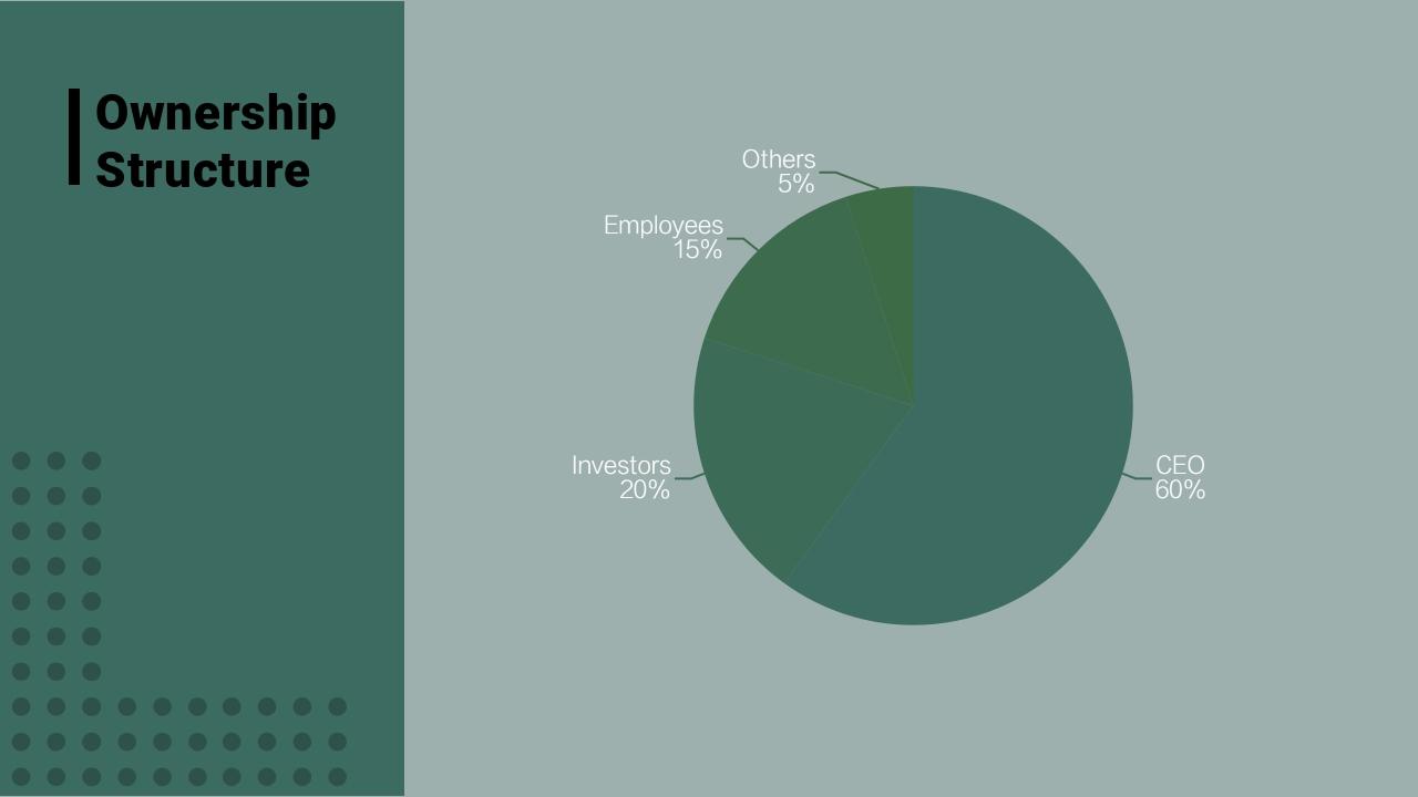 宠物社区猫狗服务宠物店商业计划书PPT-Ownership Structure