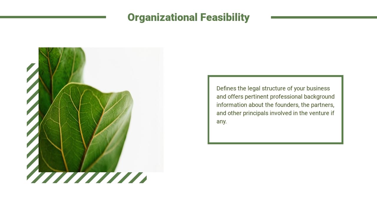 绿色植物家居生活可行性研究报告-Organizational Feasibility