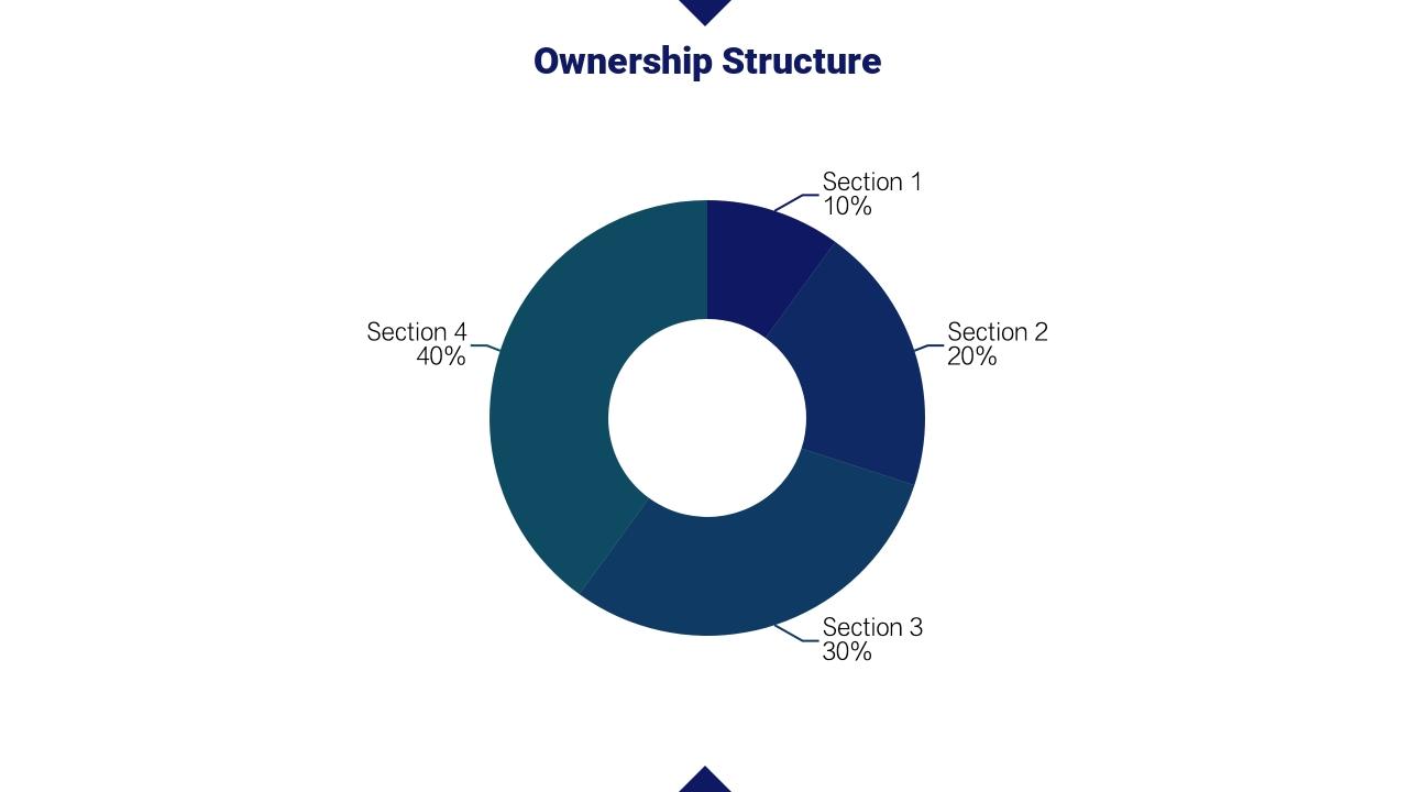 蓝色大气山脉商业计划书英文PPT模板-Ownership Structure