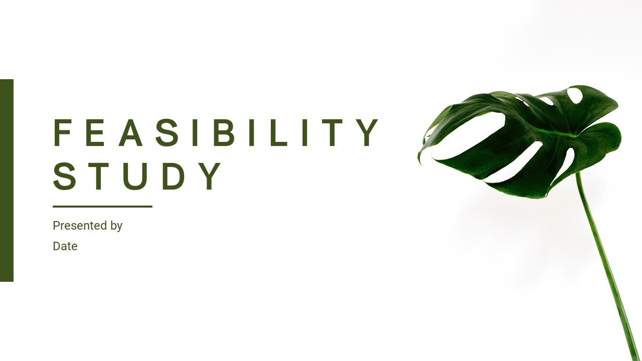 绿色植物家居生活可行性研究报告-FEASIBILITY STUDY