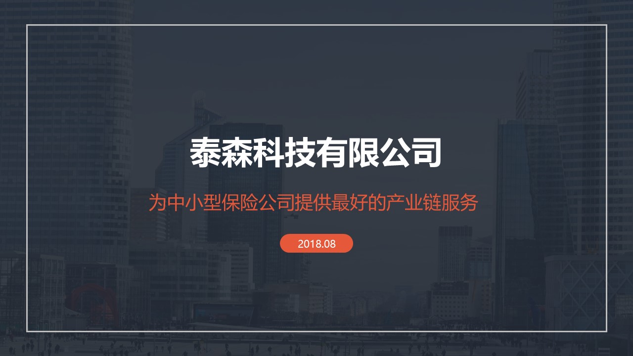 保险产业服务提供商泰森公司 商业计划书-undefined