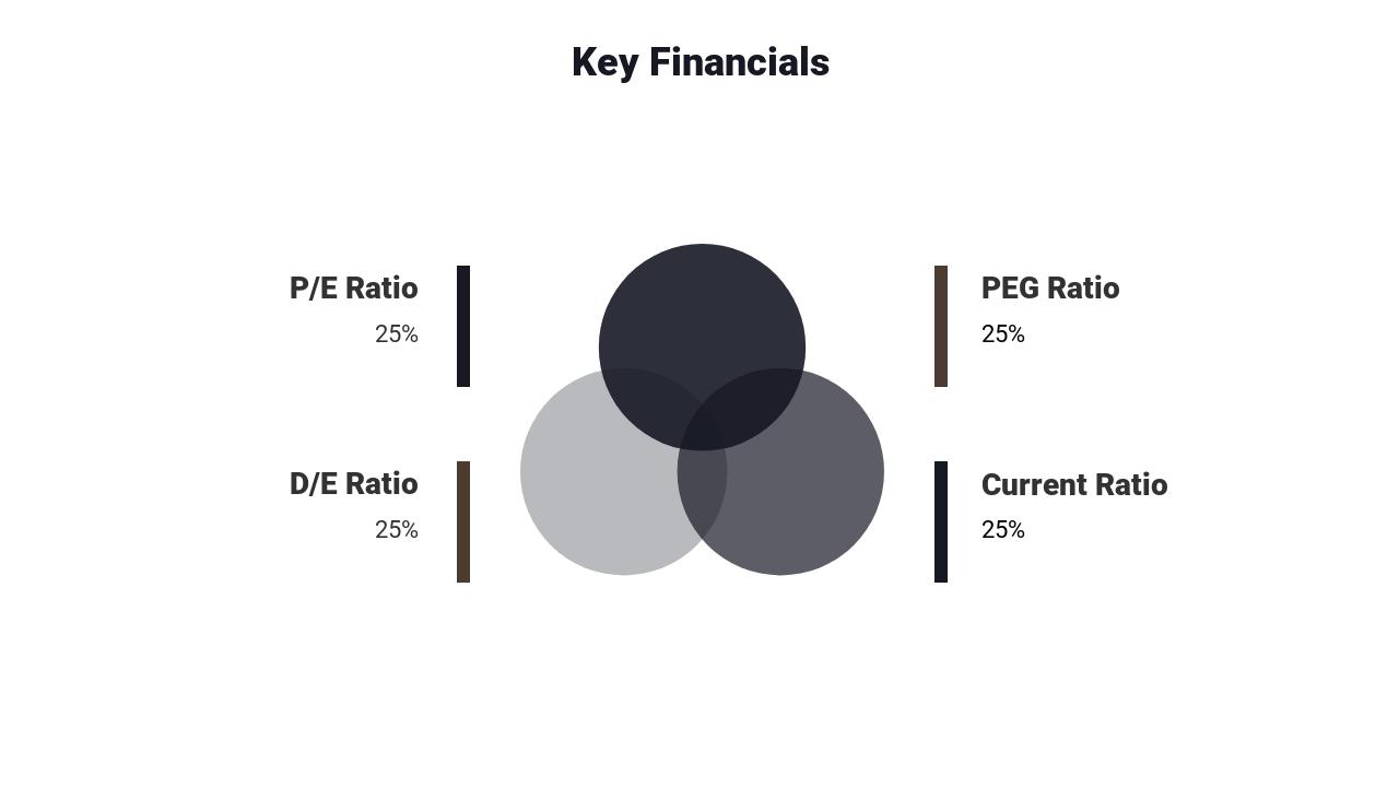 金融投资保险信贷项目投资分析PPT-Key Financials<br>