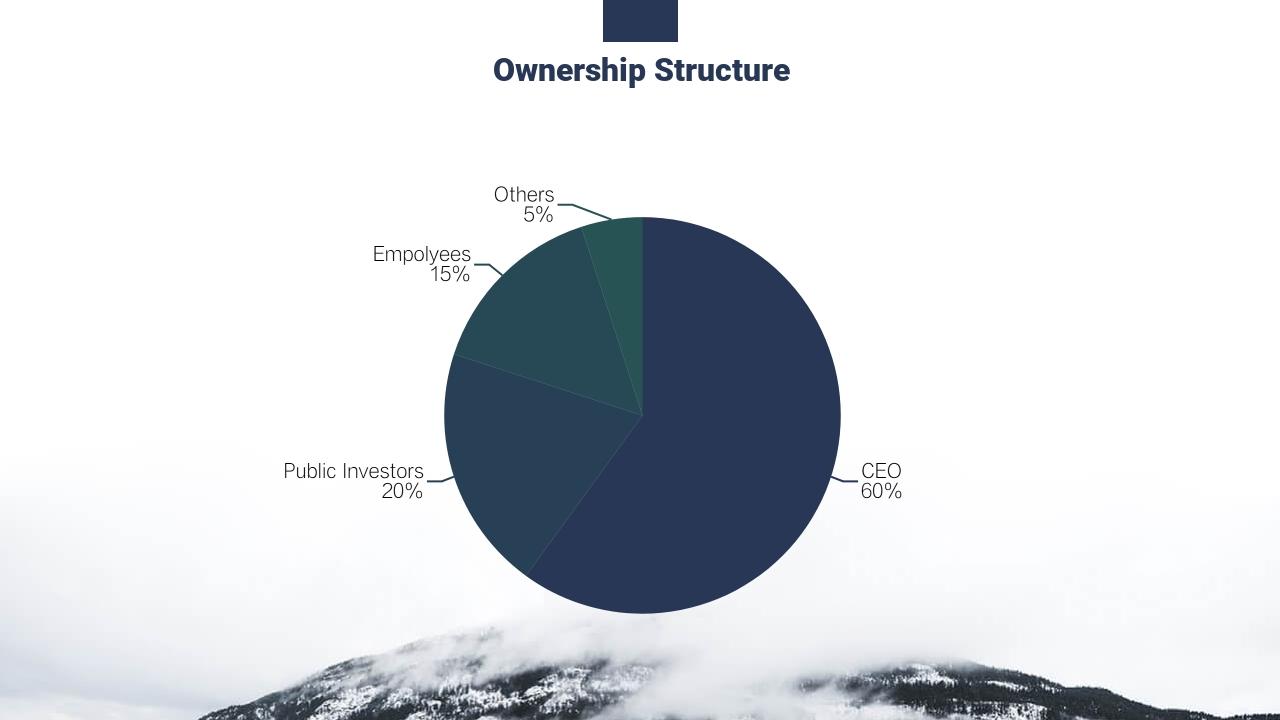 跨境电商出海项目结构完整商业计划书模板-Ownership Structure