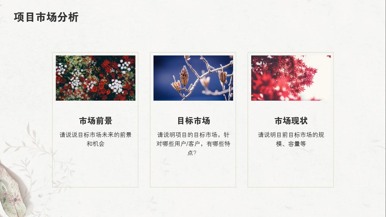 淡红树叶项目可行性研究PPT模版-项目市场分析