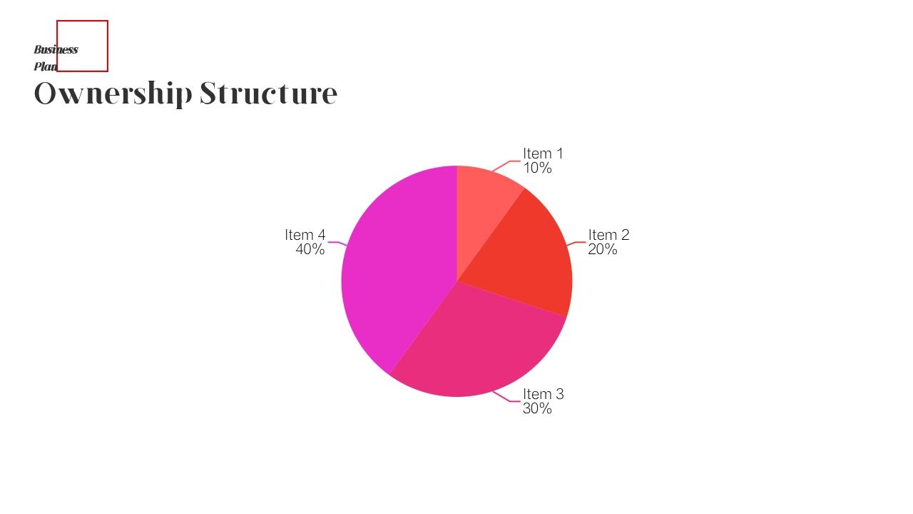 时尚品牌服装商业计划书英文PPT模板-Ownership Structure