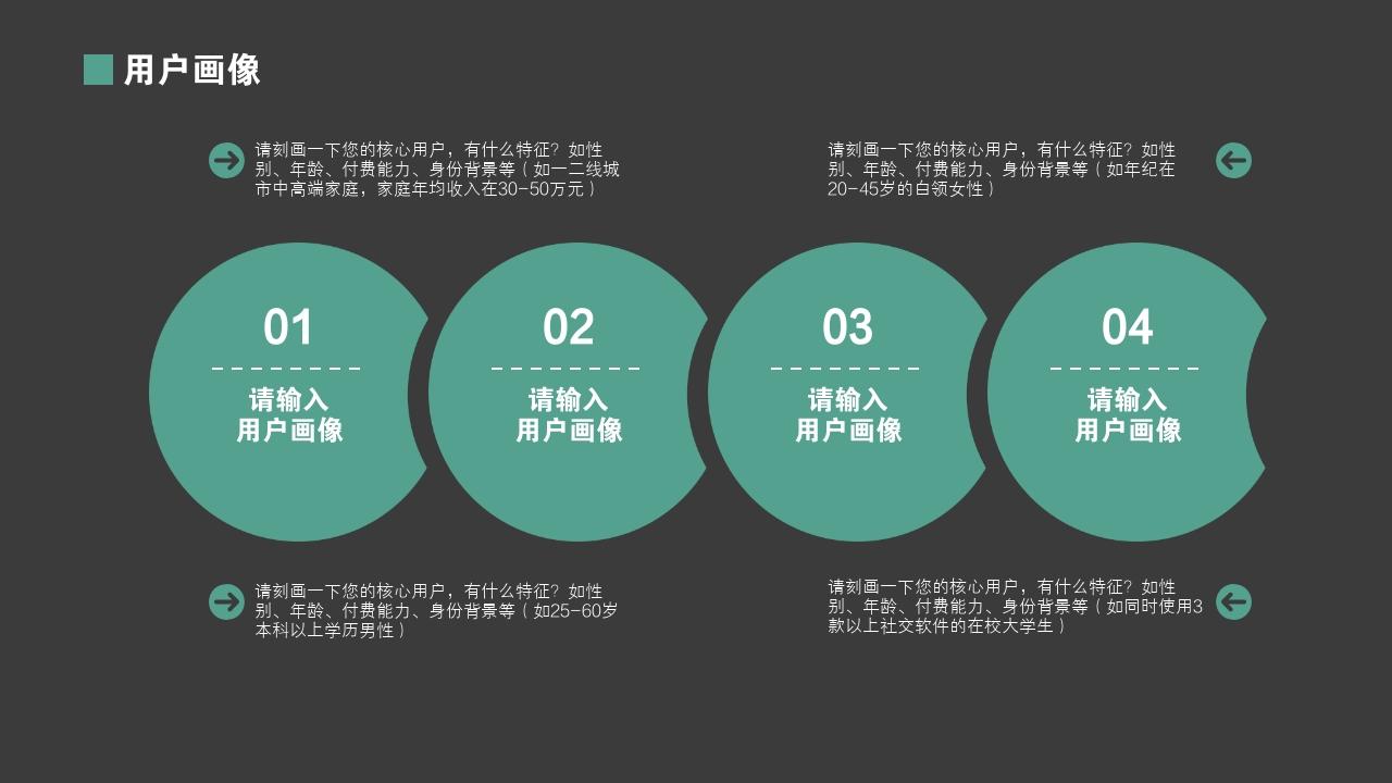 智能家电产品众筹项目商业计划书模板-用户画像