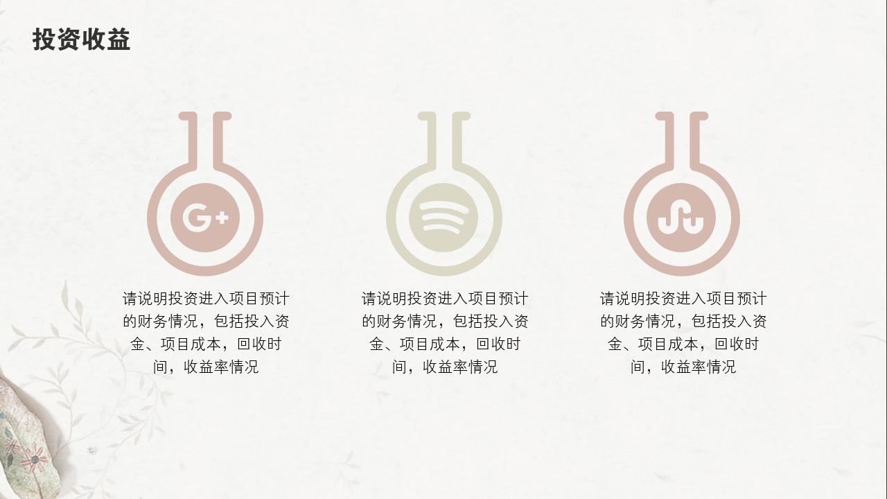 淡红树叶项目可行性研究PPT模版-投资收益