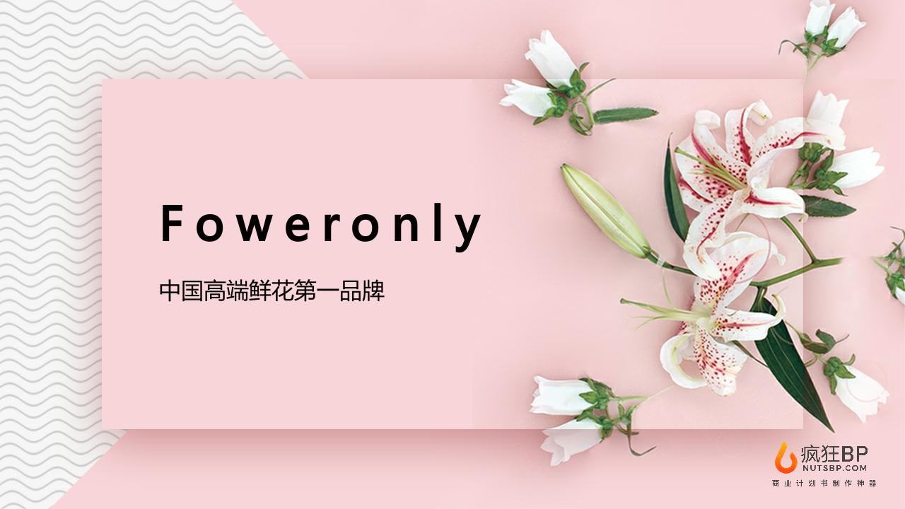 高端鲜花电商“floweronly”商业计划书-undefined
