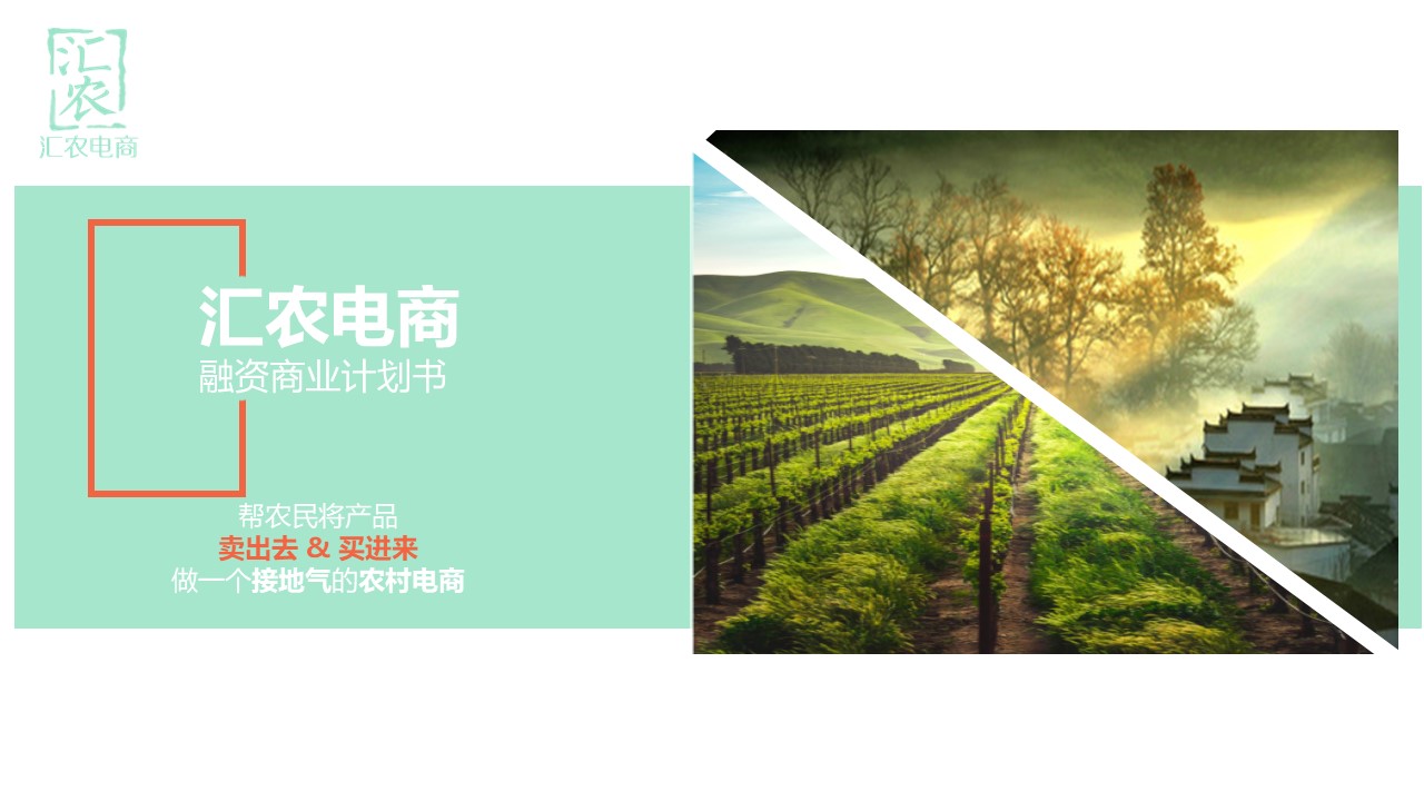 农村电商汇农电商商业计划书BY疯狂BP-undefined