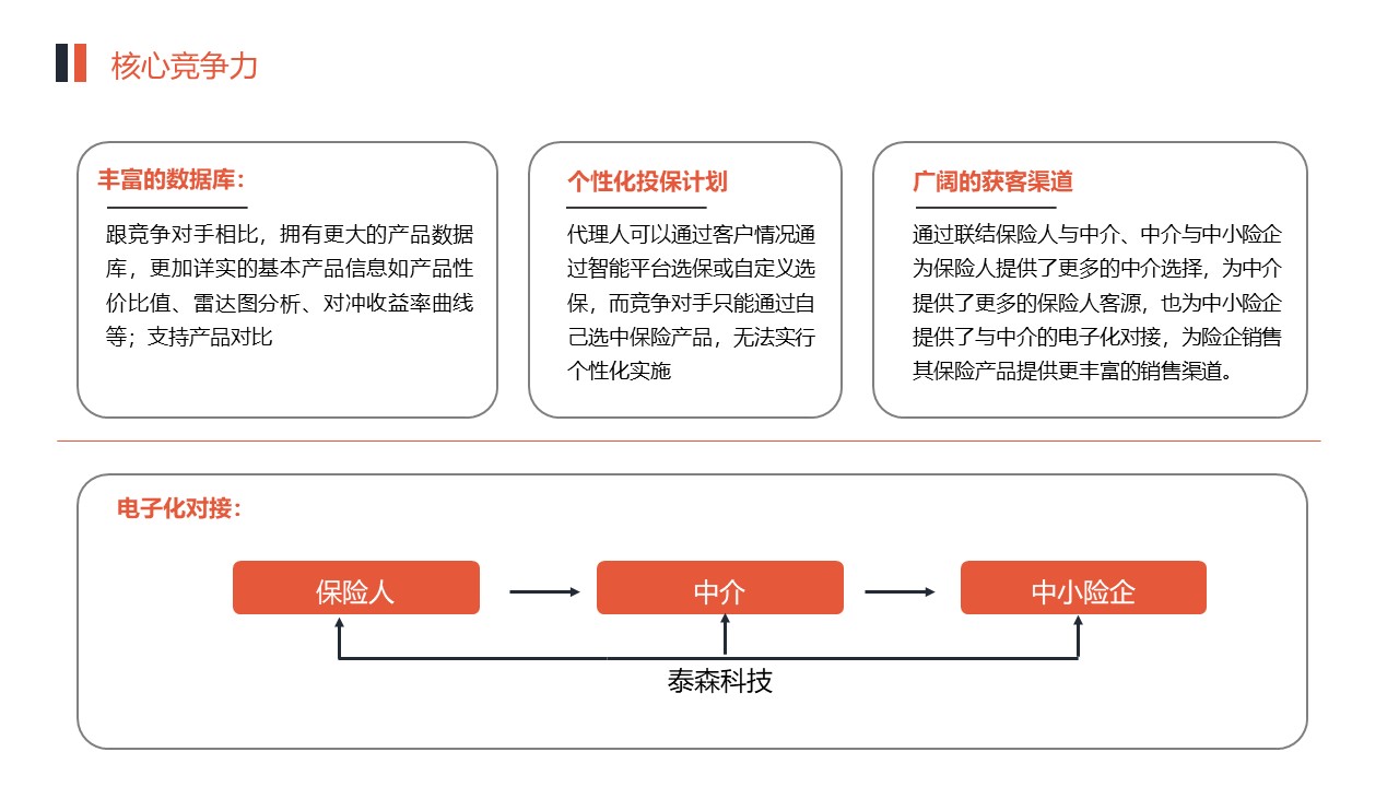 保险产业服务提供商泰森公司 商业计划书-undefined
