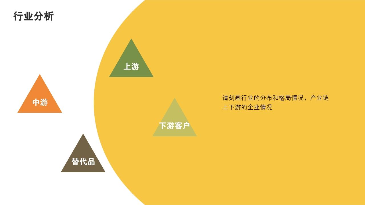 多彩缤纷项目可行性研究PPT模版-行业分析