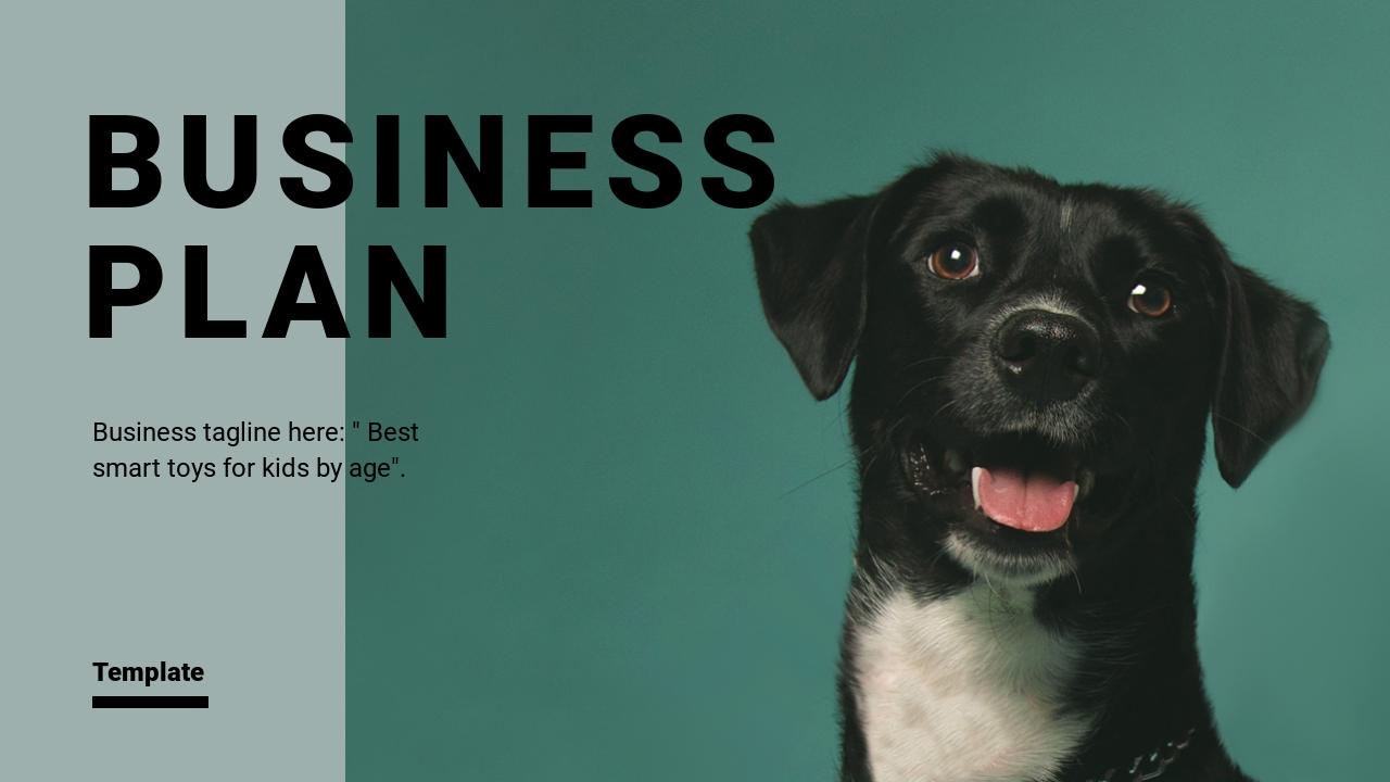 宠物社区猫狗服务宠物店商业计划书PPT-BUSINESS PLAN