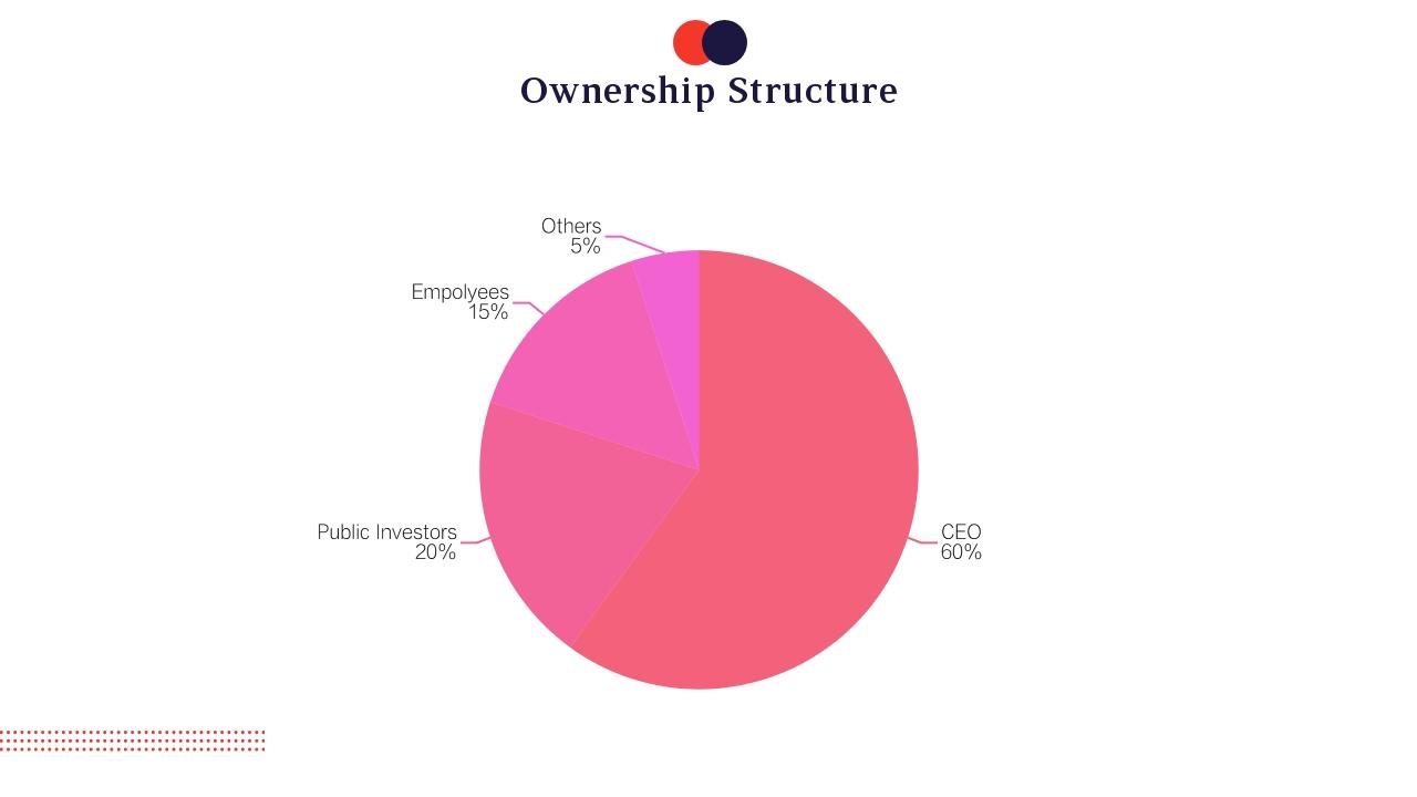 文化艺术创业项目天使轮商业计划书PPT-Ownership Structure
